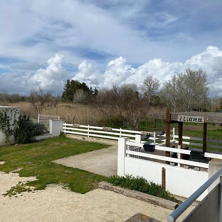 Les Maisons Du Paty Арль Екстер'єр фото